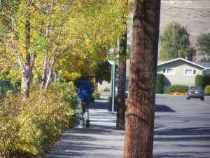 Walking the straight and narrow... file photo kDG