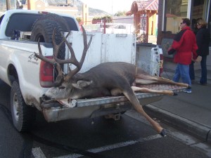 buck season 100_5326