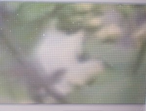 The white space at the Baillie house.....shows a ghostly face. Photo KDG