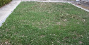 Filled in swimming pools are less of a risk to personal liability. File photo KDG