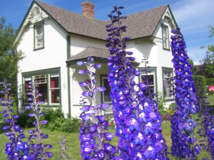 Where are you living... File