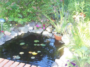 Fish pond, backyard File photo KDG
