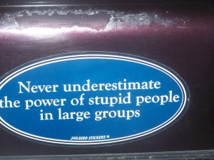 100_7375 stupid people in large groups