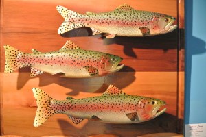 community art show brings different items to the public.