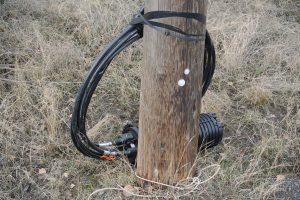 Telus fiber stiching portal in use this week, a source says can stitch cable.  File photo KDG