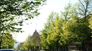 Growth, Coldwater hotel dome and flag Photo KDG