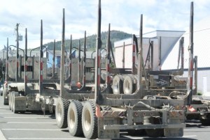 Large logging trucks need industrial facility's as they can not be parked in residential areas. File Photo KDG