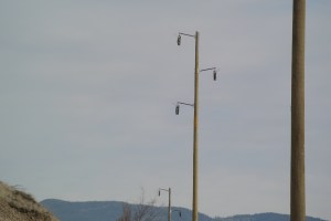 Poles in place for the 130 KV line from the Merritt Substation to the Highland Valley Photo KDG