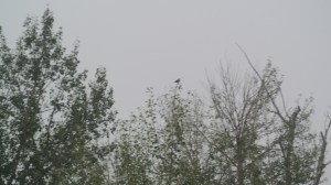 Smoke filled the skies around Merritt on Monday and Tuesday, there were fires around Cache Creek and the Pemberton area sending smoke this way Photo KDG