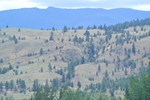 Windy Canyon  Merritt BC Photo KDG