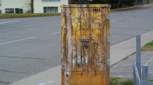 Utilities box with new graphics Photo KDG