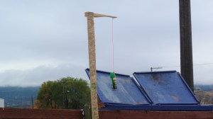 Bear deterrent Photo KDG