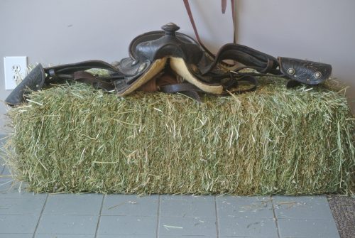 Back in the Saddle again