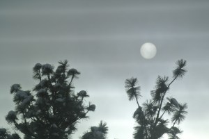 Sky on Thursday. Dec 15/16 Bands are they upper level troughs. Photo KDG Photo KDG