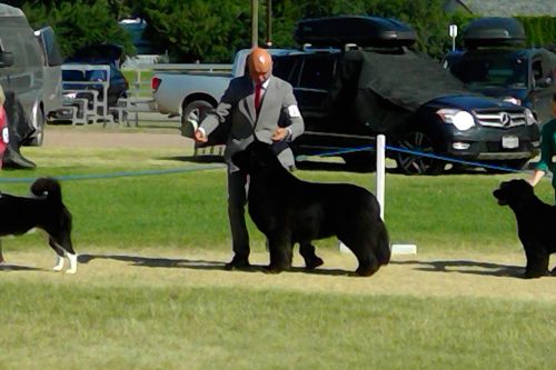 WIN_20170702_09_19_53_Pro