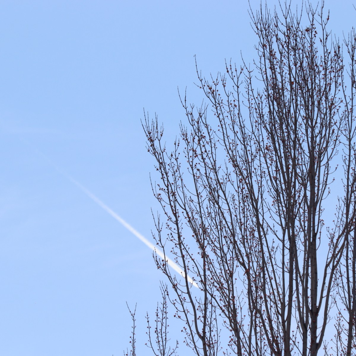Earth Sky Meteor&nbsp;guide